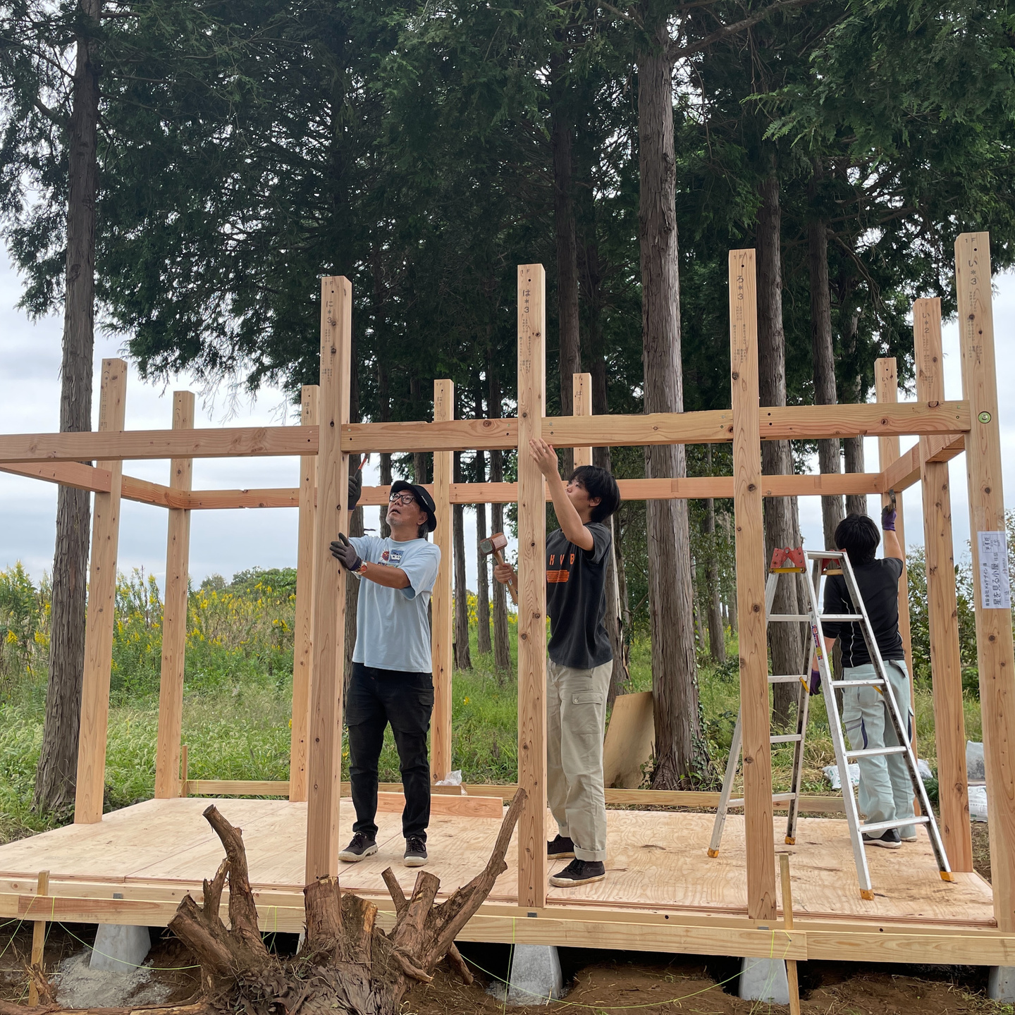 小屋建て方