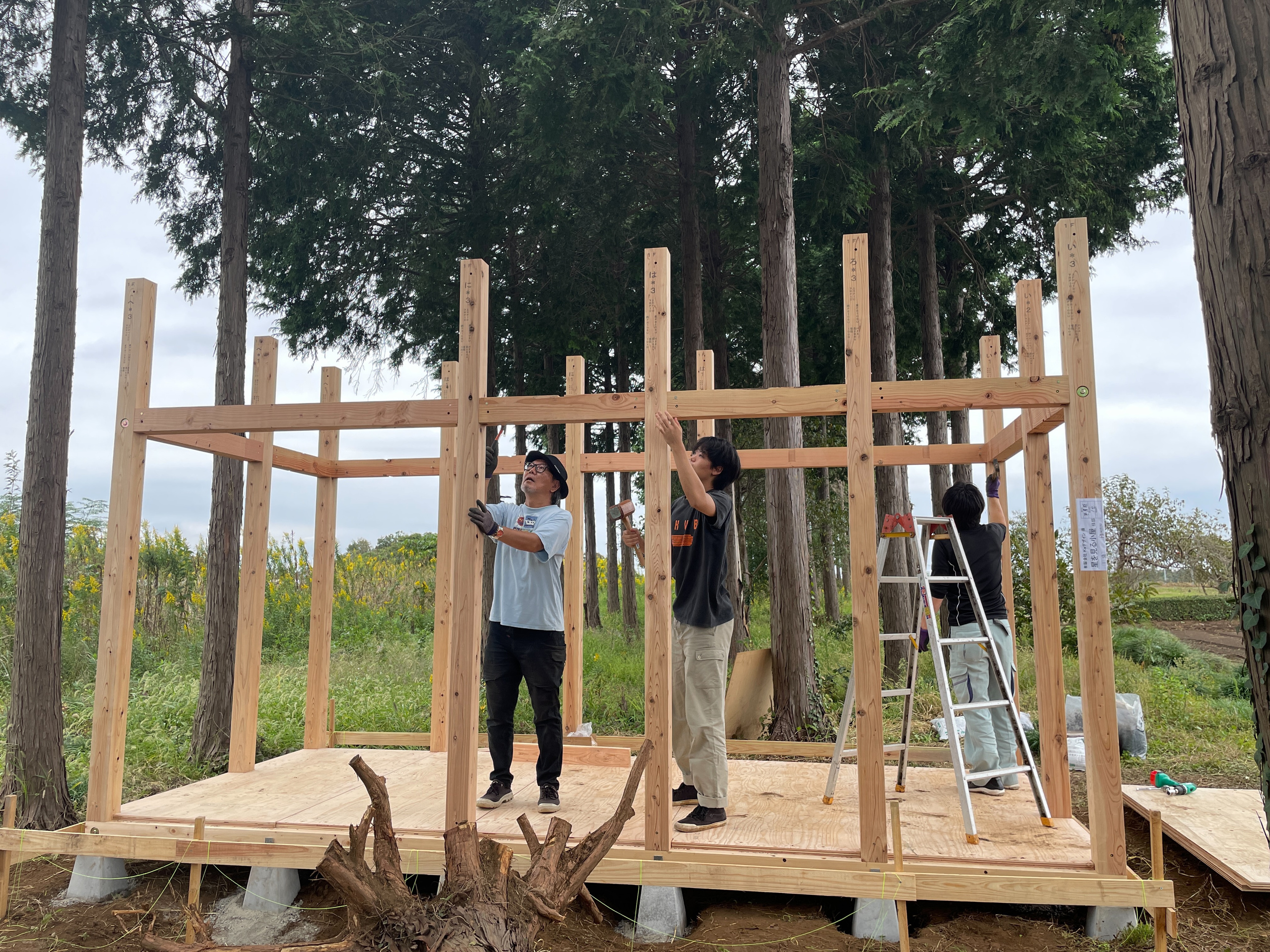 小屋建て方