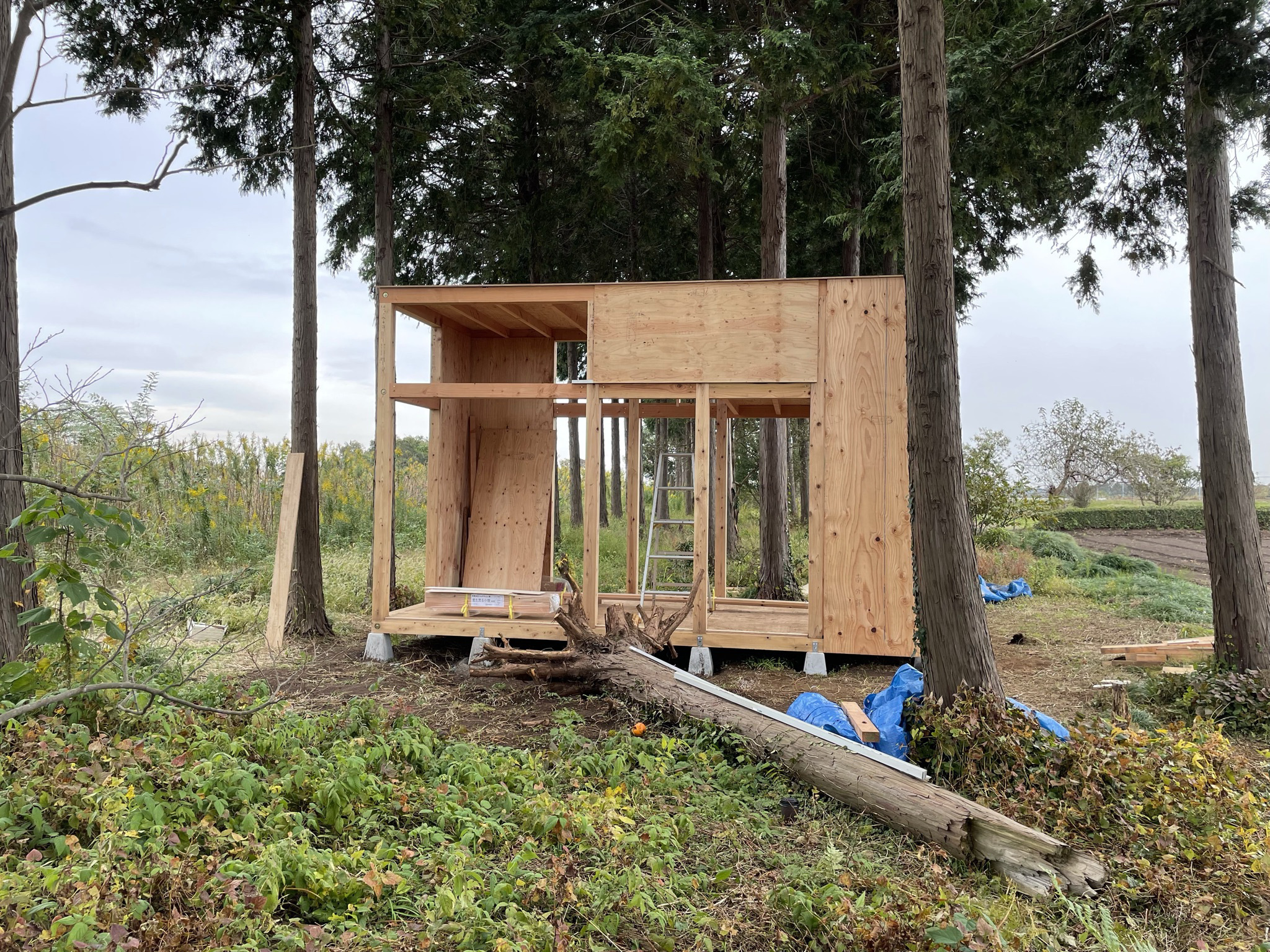 小屋外壁